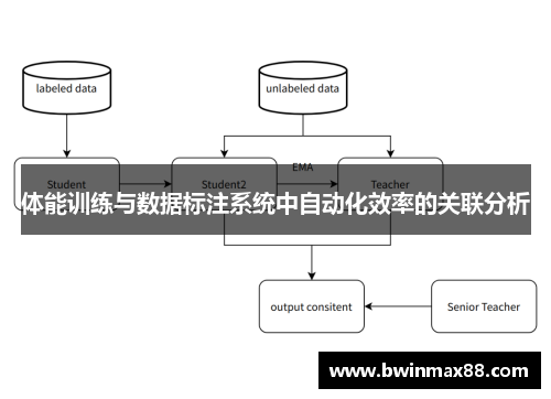 体能训练与数据标注系统中自动化效率的关联分析