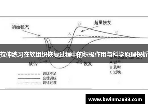拉伸练习在软组织恢复过程中的积极作用与科学原理探析