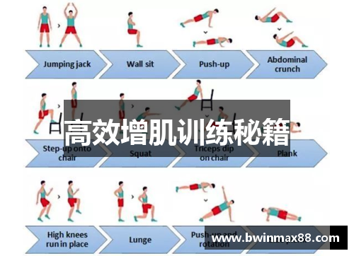 高效增肌训练秘籍